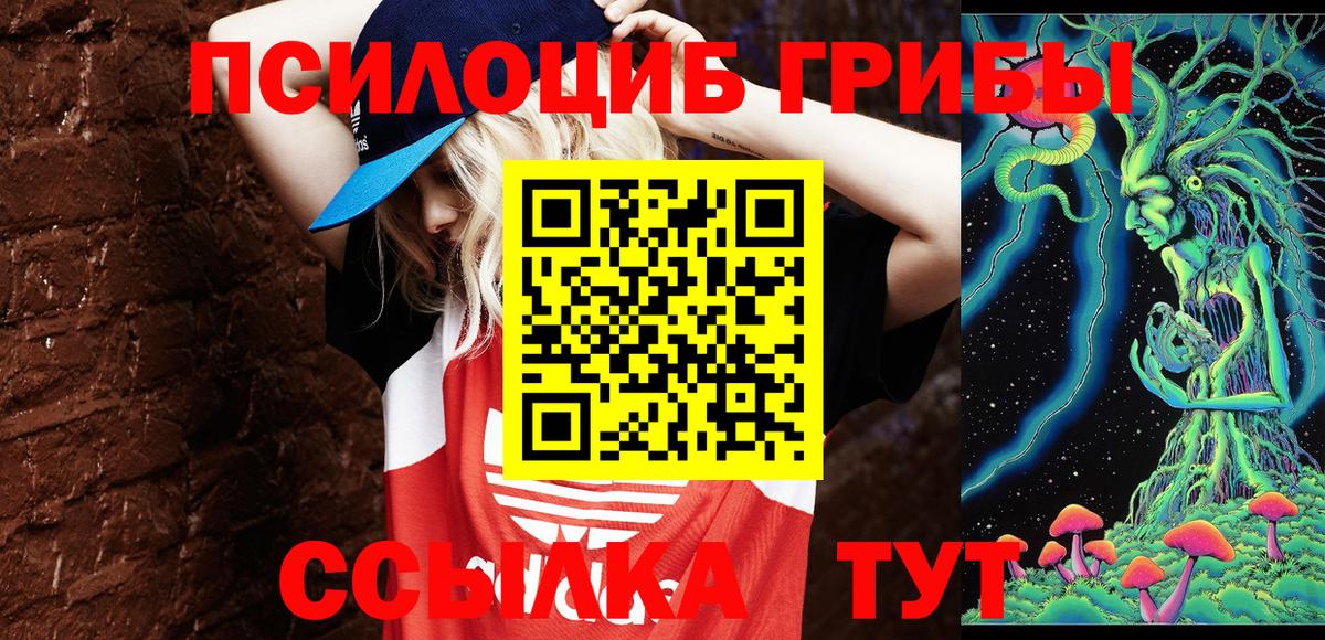 Псилоцибиновые грибы Magic Shrooms  Вход с VPN  Липецк 
